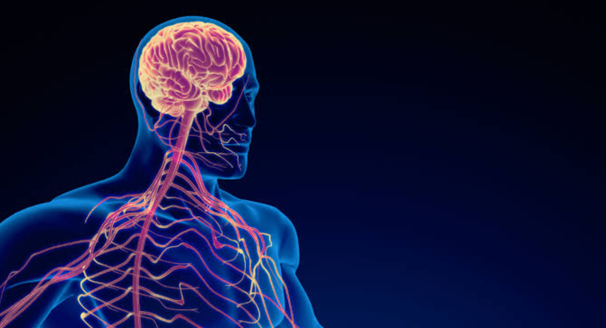 A calm person practicing deep breathing in a peaceful setting, representing healthy habits that support the nervous system and reduce stress.